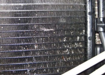 Les Risques de la Surchauffe du Radiateur de Voiture au Maroc