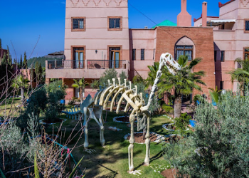 Les 10 Meilleurs Endroits à Visiter à El Kelaa des Srarhna