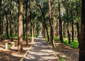 Votre Guide des 10 Meilleures Activités à Faire à Kénitra