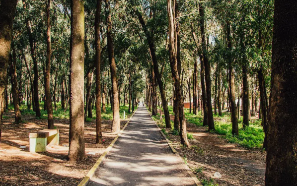 Votre Guide des 10 Meilleures Activités à Faire à Kénitra